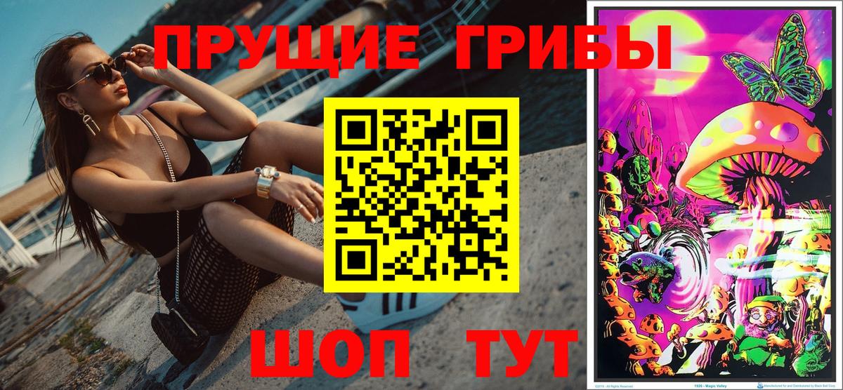 Ишим  Псилоцибиновые грибы Magic Shrooms  Вход с VPN  Псилоцибиновые грибы GOLDEN TEACHER 